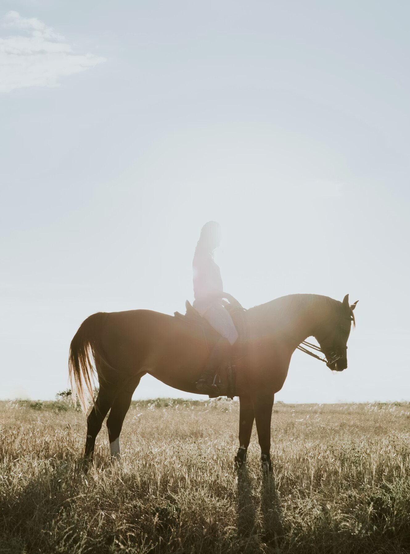 Premier equestrian riding experience